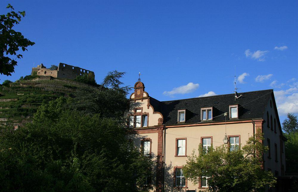 Gästehaus Goethe Staufen im Breisgau Exterior foto