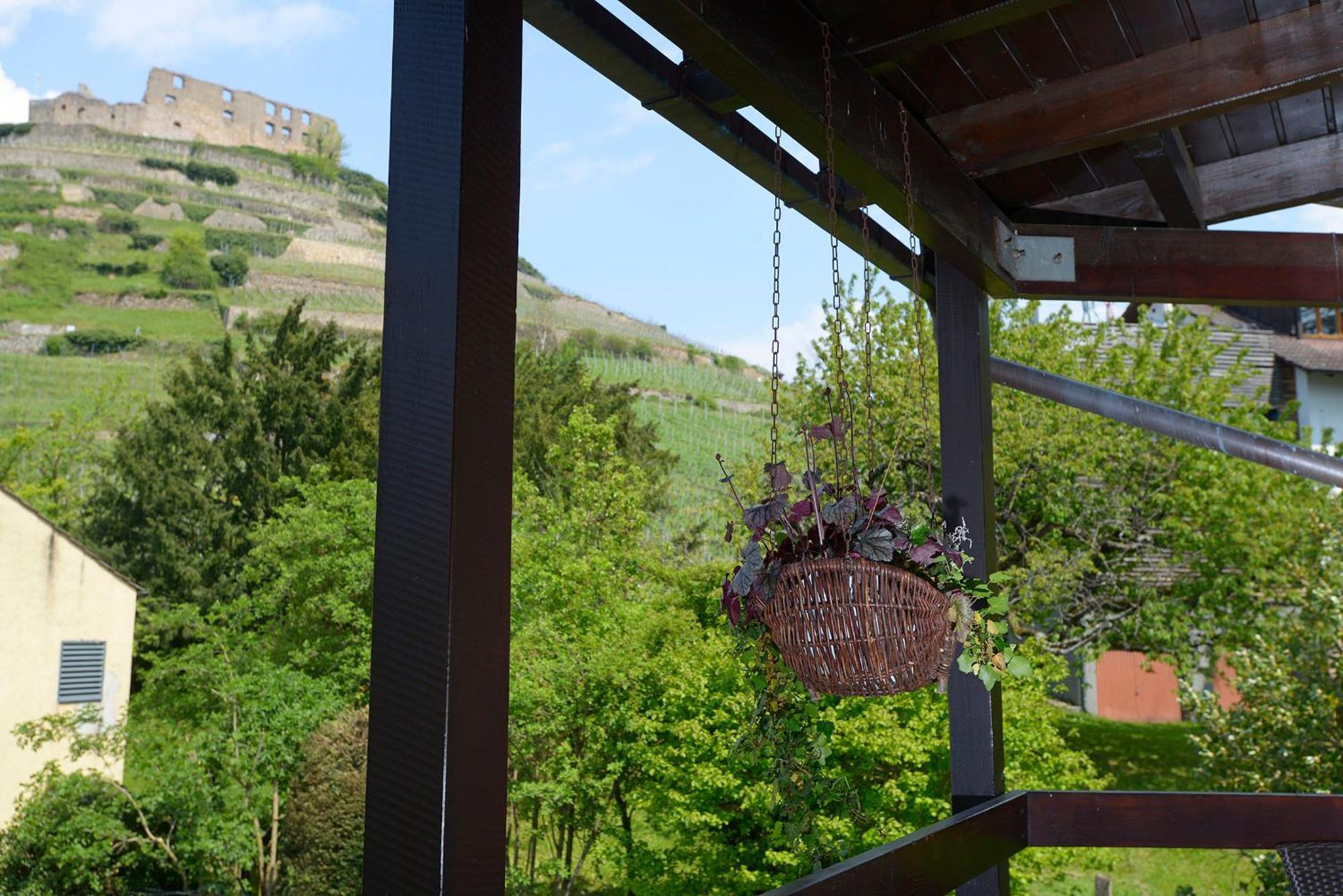 Gästehaus Goethe Staufen im Breisgau Exterior foto