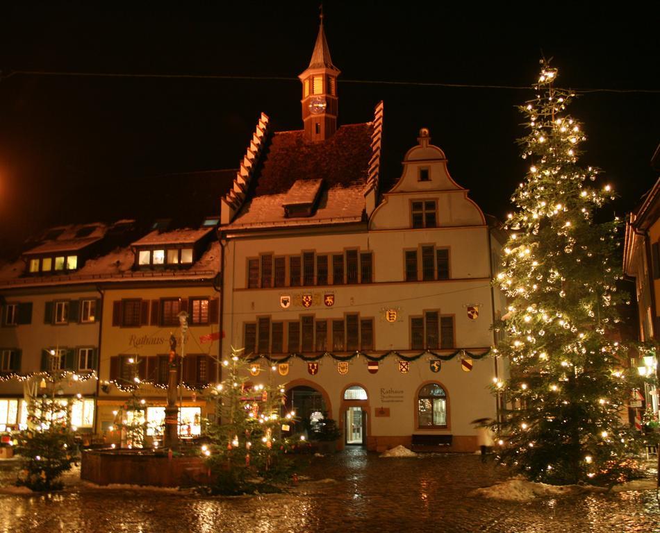 Gästehaus Goethe Staufen im Breisgau Exterior foto
